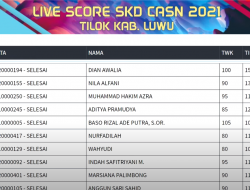 Ini Daftar 10 Peraih Skor Tertinggi Sesi Dua Hari Kedua Seleksi CPNS Luwu