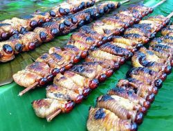 Ulat Sagu jadi Kuliner Favorit Atlet di PON Papua