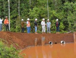 WALHI Minta Bupati Luwu Timur Tutup PT Citra Lampia Mandiri