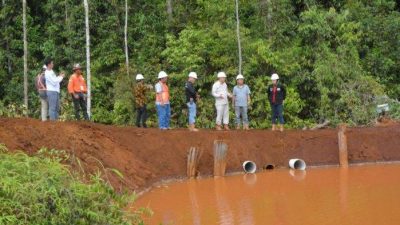 WALHI Minta Bupati Luwu Timur Tutup PT Citra Lampia Mandiri