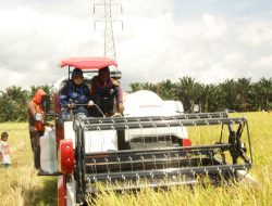 Fadriaty Serahkan Bantuan Alsintan untuk Empat Kelompok Tani di Luwu