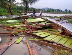 39 Rumah di Luwu Rusak Diterjang Angin Puting Beliung