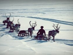 Tidak Suka Dipanggil Eskimo, Ini 6 Fakta Unik Suku Penguasa Kutub Utara