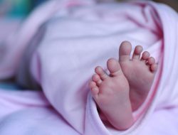 Warga Palopo Temukan Bayi Terbungkus Kain di Dalam Kardus