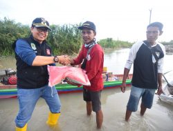 Wabub Luwu Utara Suaib Mansur Serahkan Bantuan untuk Korban Banjir di Malangke