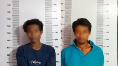 Polisi Tangkap Pencuri Hewan di Luwu, Dua Pelaku Buron