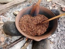 RIBV Akan Tampilkan Kopi Latimojong di Belanda
