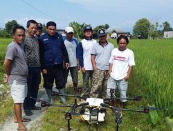 Kreatif! PPL di Luwu Utara Gunakan Drone untuk Pemupukan Padi