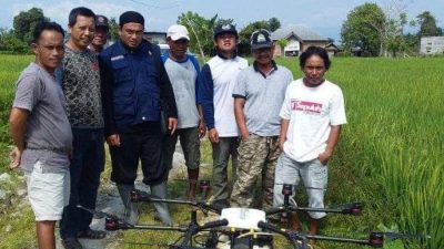 Kreatif! PPL di Luwu Utara Gunakan Drone untuk Pemupukan Padi