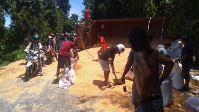 Truk Pengangkut Jagung Terbalik di Sampoddo, Trans Sulawesi Macet Total