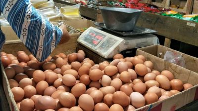 Harga Telur di PNP dan Pasar Andi Tadda Palopo Naik