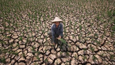 Dampak Kemarau Panjang, 6 Desa di Luwu Kesulitan Air Bersih