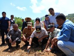 Wakil Ketua DPRD Palopo Dampingi Pj Gubernur Tanam Pisang di Peta