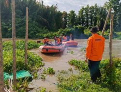 Nelayan 40 Tahun di Luwu Diduga Dimangsa Buaya, Saat Ditemukan Jasadnya Tidak Utuh