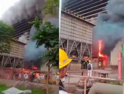 Tungku Smelter PT ITSS Morowali Meledak, 15 Orang Meninggal Dunia