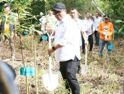 Bukit Lewadang Bakal Dijadikan Hutan Wisata di Kota Palopo