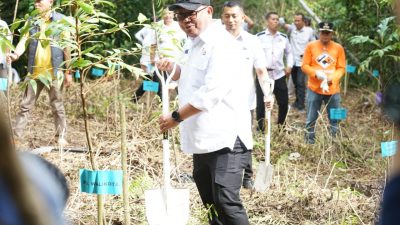 Bukit Lewadang Bakal Dijadikan Hutan Wisata di Kota Palopo