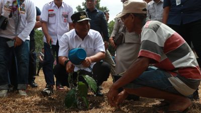 Pj Gubernur Sulsel Tanam Sukun di Purangi Palopo