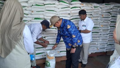 Pemkot Palopo Wacanakan Ubah Sagu jadi Beras