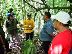 Pj Wali Kota Dorong Pengembangan Sektor Pariwisata Palopo