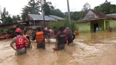 Soal Banjir dan Longsor Luwu, Dewan Kehutan: Pemerintah Harus Lakukan Pencegahan