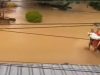 Potret Warga di Luwu Gotong Jenazah Sambil Terobos Banjir