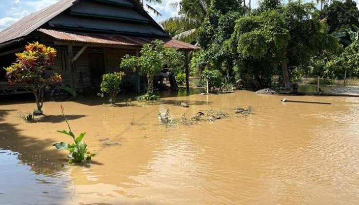 Puluhan Rumah Warga di Palopo Terendam Banjir