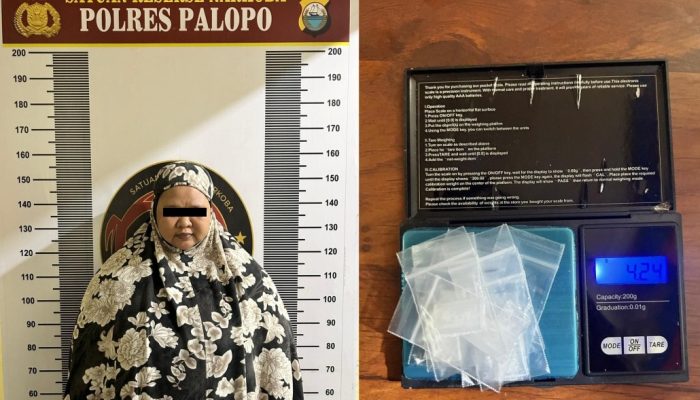 COD Paket Sabu, Wanita 23 Tahun di Palopo Dibekuk Polisi