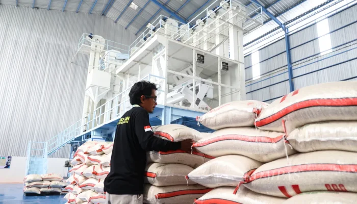 Pabrik Penggilingan Padi Modern Segera Dibangun di Luwu, Perkuat Ketahanan Pangan Nasional