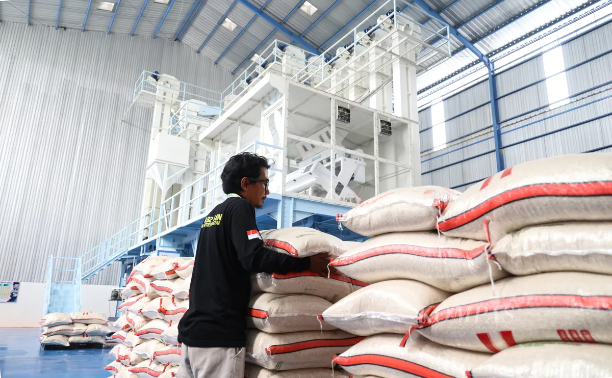 Kabupaten Luwu, akan menjadi pusat produksi beras di Sulawesi Selatan. Daerah berjuluk Bumi Sawerigading ini, akan segera memiliki pabrik penggilingan padi modern.