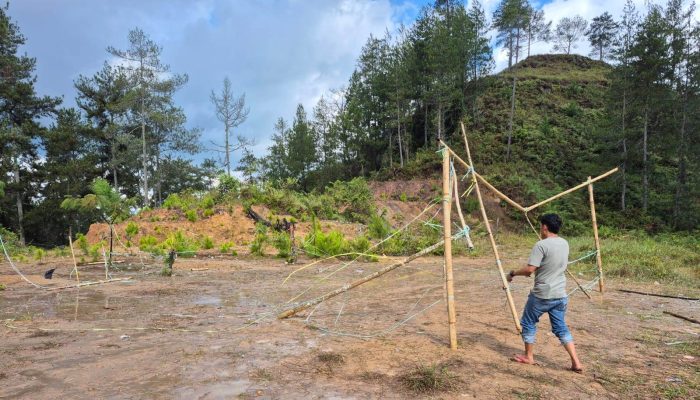 Polisi Gerebek Dua Lokasi Sabung Ayam di Tana Toraja, Arena Langsung Dibongkar